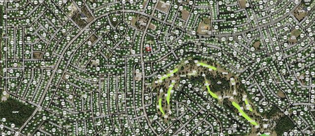 9154 N Dory Point, Citrus Springs, FL 34433