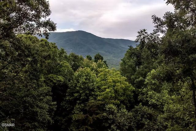 3436 Quail Way, Sevierville, TN 37862