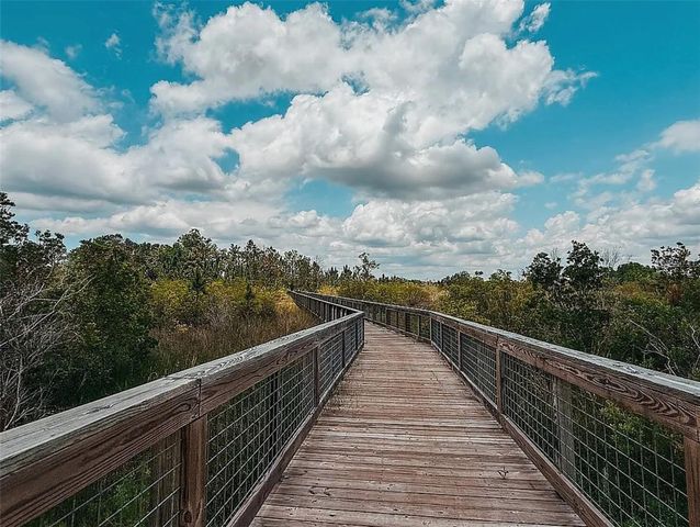 22034 STORYBOOK CABIN WAY, Land O Lakes, FL 34637