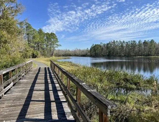22034 STORYBOOK CABIN WAY, Land O Lakes, FL 34637