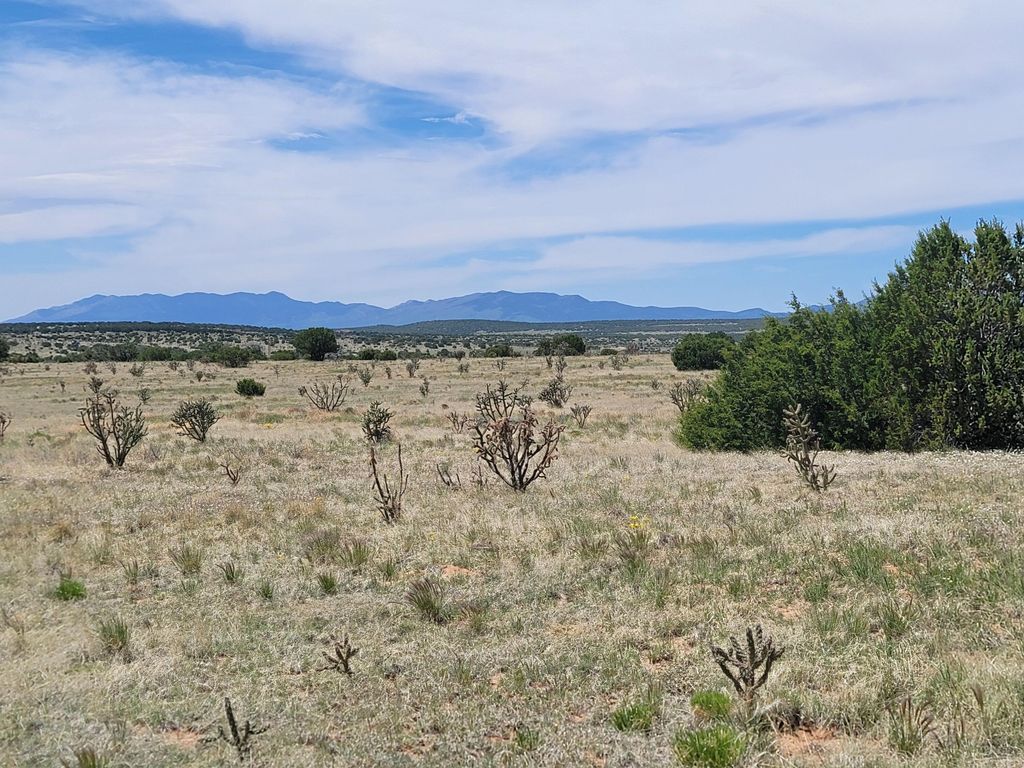 61 Brazos Loop, Estancia, NM 87016