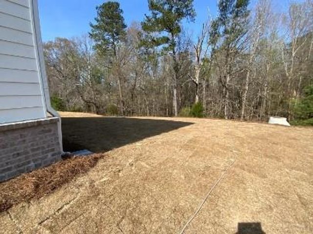 976 Feldman, Loganville, GA 30052