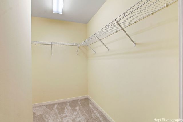 77 S Evergreen Avenue 206, Arlington Heights, IL 60005