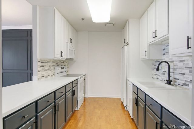 77 S Evergreen Avenue 206, Arlington Heights, IL 60005