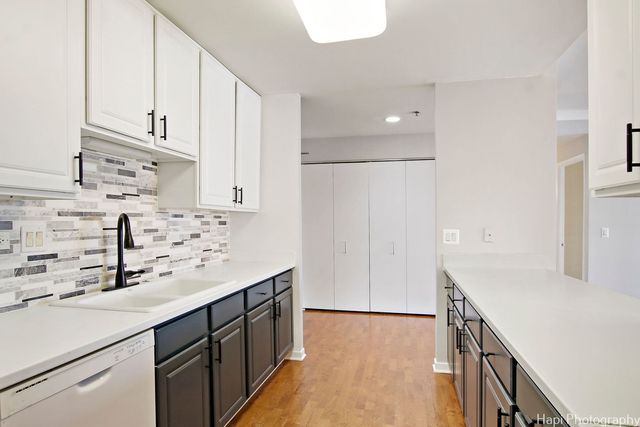 77 S Evergreen Avenue 206, Arlington Heights, IL 60005