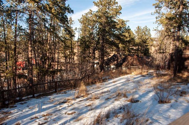 16820 Vincent Avenue, Monument, CO 80132