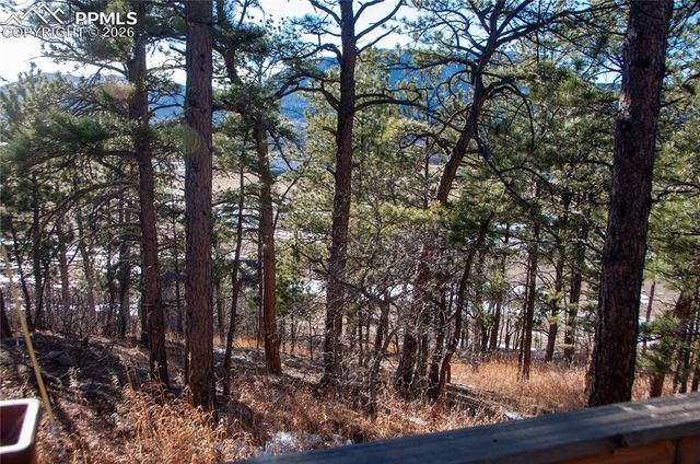 16820 Vincent Avenue, Monument, CO 80132