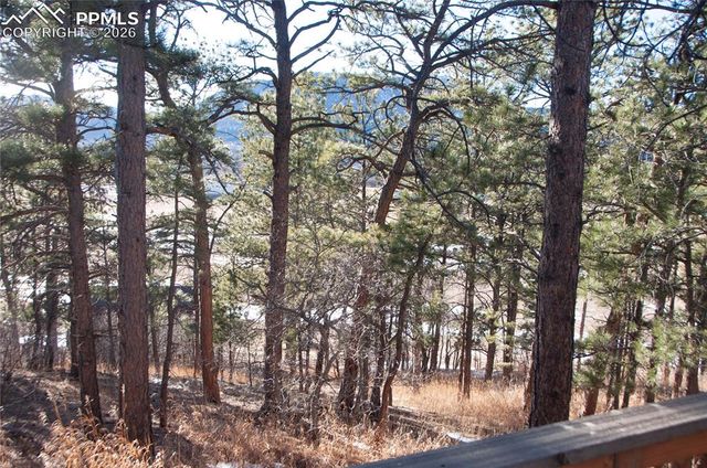 16820 Vincent Avenue, Monument, CO 80132