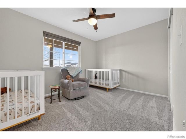 7545 McClellan Road, Wellington, CO 80549