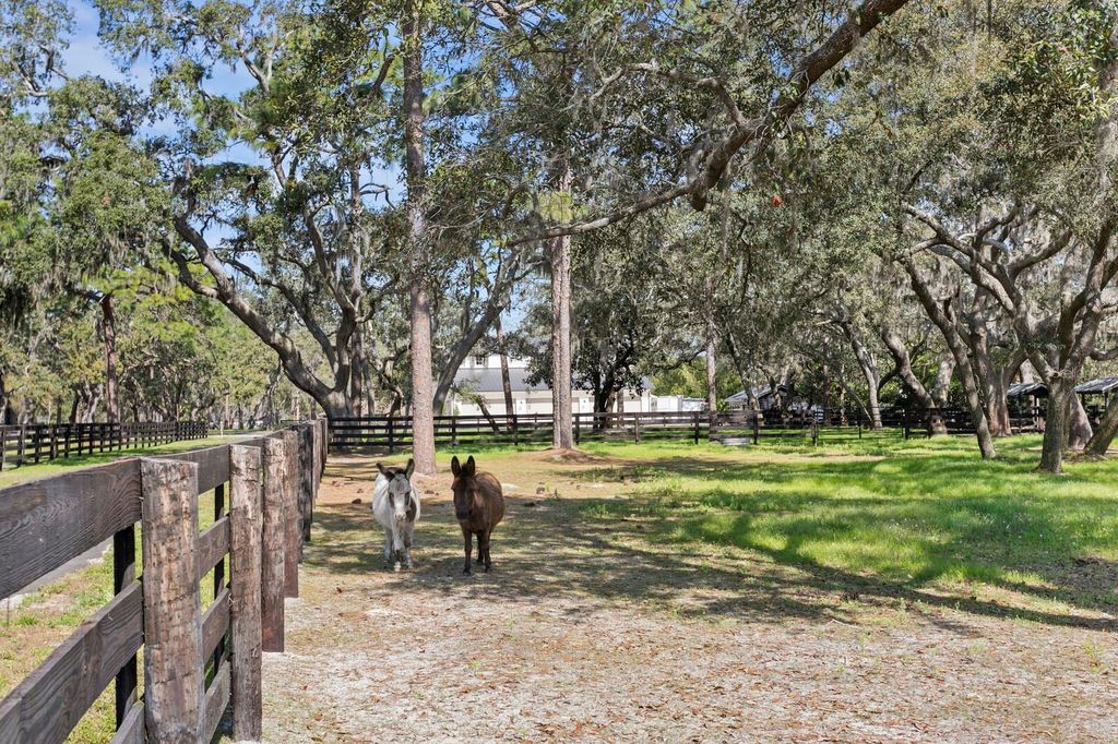 Image 19 of property listing at 10101 TARPON SPRINGS ROAD, Odessa, FL 33556