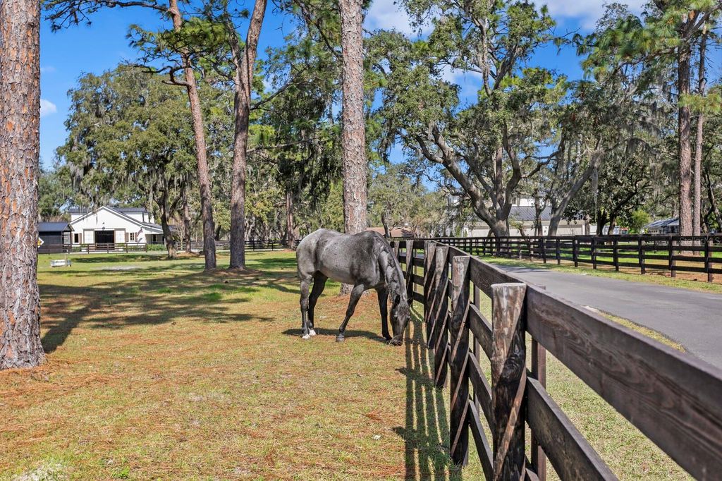 Image 20 of property listing at 10101 TARPON SPRINGS ROAD, Odessa, FL 33556