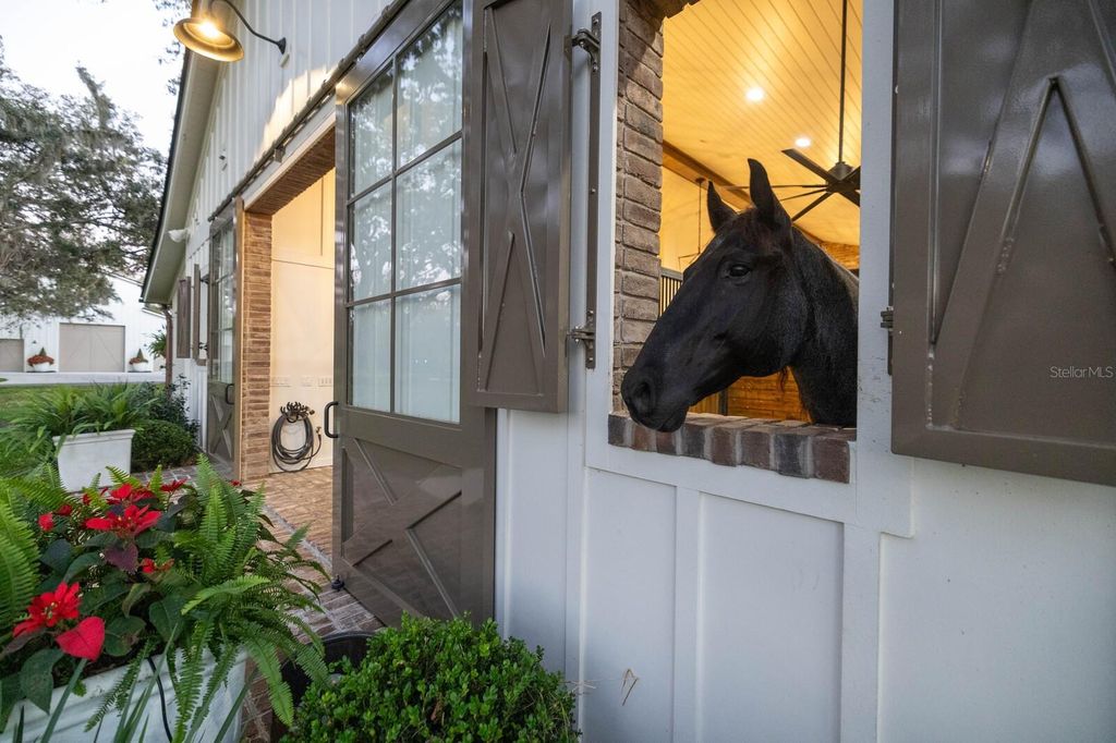 Image 42 of property listing at 10101 TARPON SPRINGS ROAD, Odessa, FL 33556