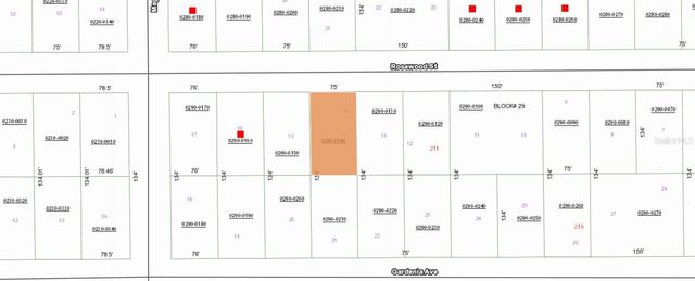 207 ROSEWOOD STREET, Georgetown, FL 32139