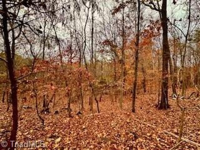 338 River Pines Trail, Clemmons, NC 27012