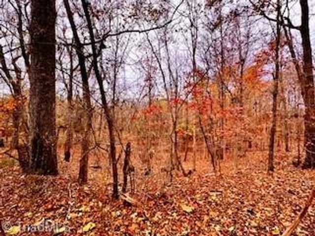 338 River Pines Trail, Clemmons, NC 27012