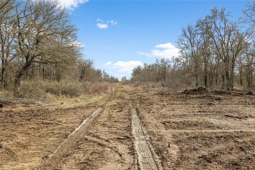 747 County Road 467, Thrall, TX 76578