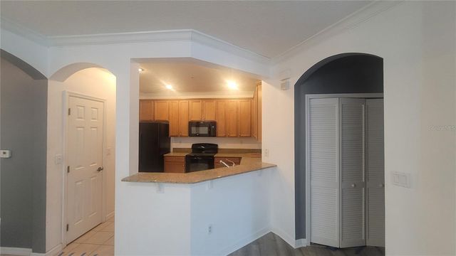 8256 MARITIME FLAG STREET 1706, Windermere, FL 34786