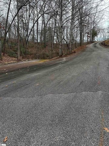 00 Jackson Cove Road Lot 2, Mill Spring, NC 28756