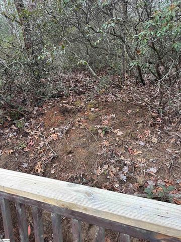 00 Jackson Cove Road Lot 2, Mill Spring, NC 28756