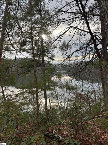 00 Jackson Cove Road Lot 2, Mill Spring, NC 28756