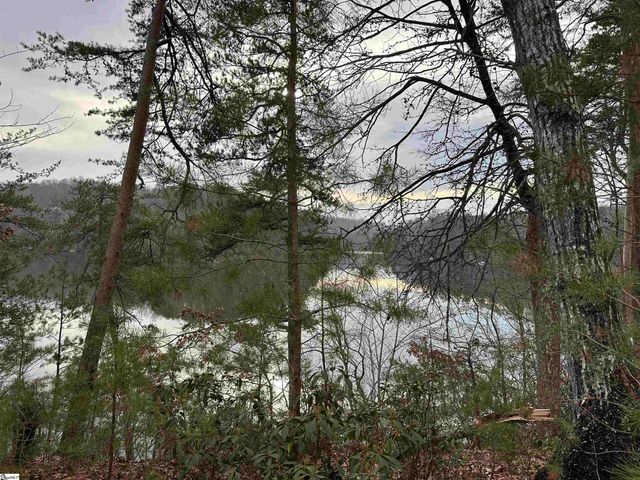 00 Jackson Cove Road Lot 2, Mill Spring, NC 28756
