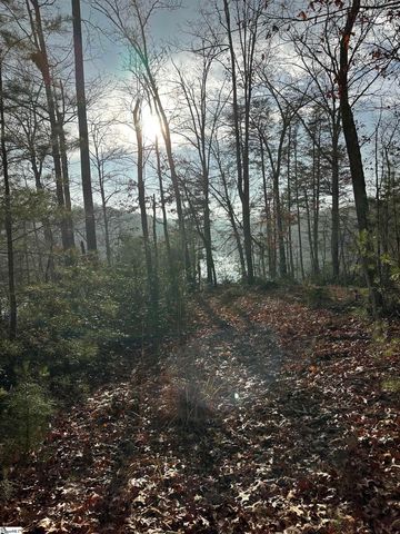 00 Jackson Cove Road Lot 2, Mill Spring, NC 28756