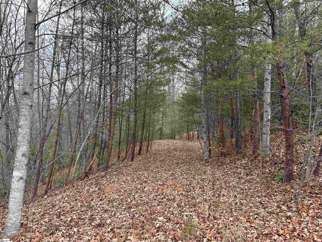 00 Jackson Cove Road Lot 2, Mill Spring, NC 28756