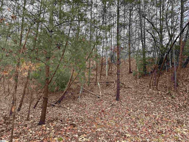 00 Jackson Cove Road Lot 2, Mill Spring, NC 28756