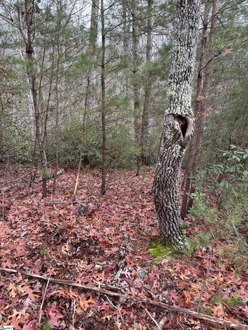 00 Jackson Cove Road Lot 2, Mill Spring, NC 28756