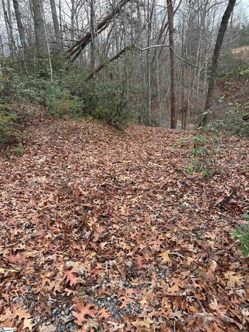 00 Jackson Cove Road Lot 2, Mill Spring, NC 28756