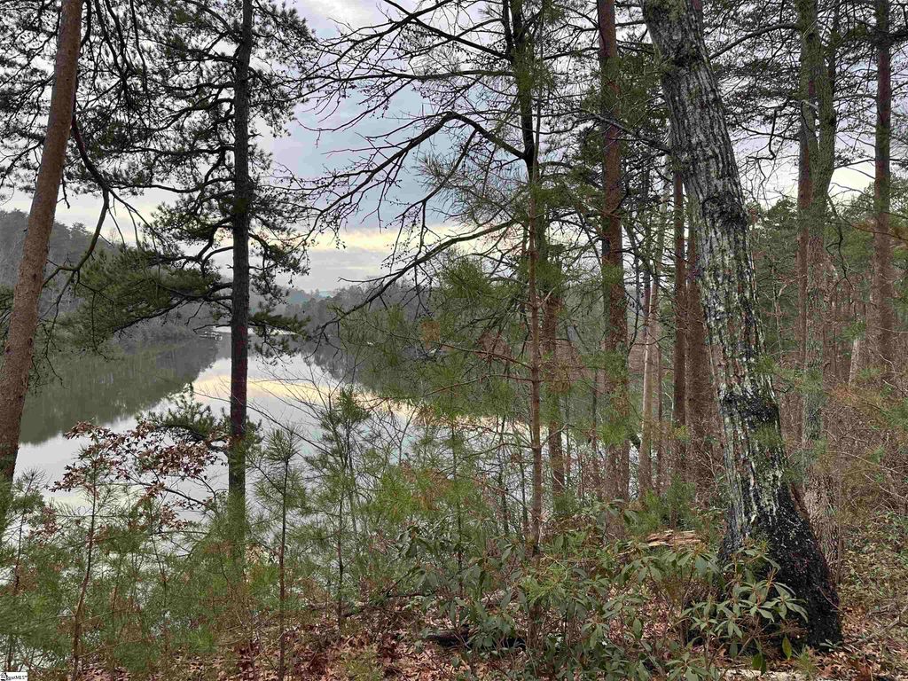 00 Jackson Cove Road Lot 2, Mill Spring, NC 28756