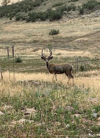 223 Stone Canyon Road, Lyons, CO 80540