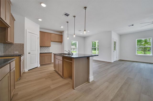 1003 Thor, New Caney, TX 77357