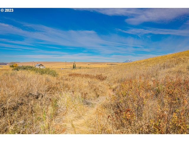 1602 CENTERVILLE Hwy, Centerville, WA 98613