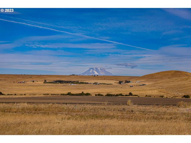 1602 CENTERVILLE Hwy, Centerville, WA 98613