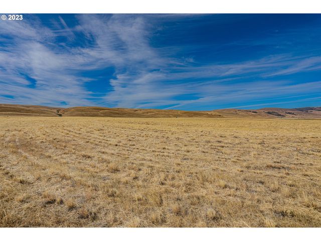 1602 CENTERVILLE Hwy, Centerville, WA 98613