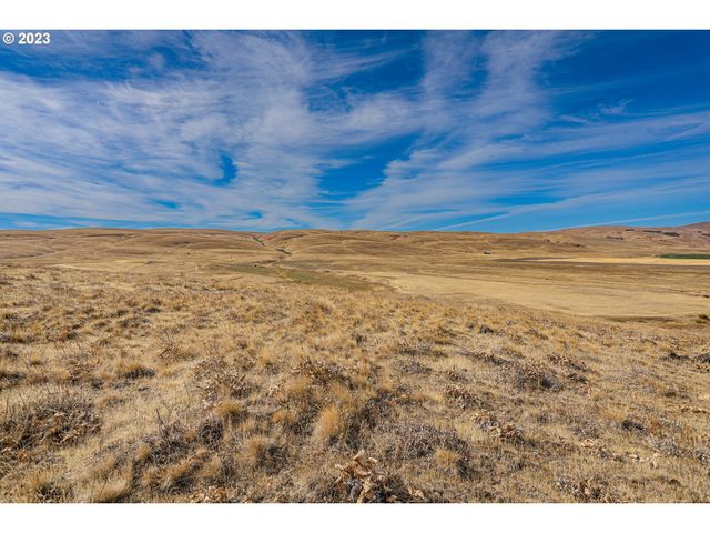 1602 CENTERVILLE Hwy, Centerville, WA 98613