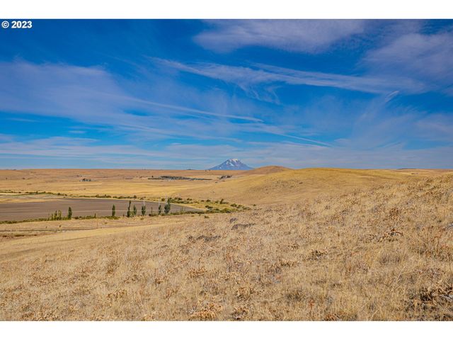 1602 CENTERVILLE Hwy, Centerville, WA 98613