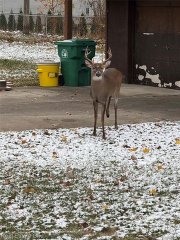 31941 Kathryn Street, Garden City, MI 48135