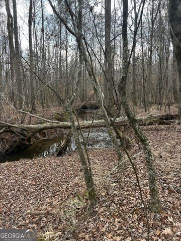 1425 Dowdy, Roopville, GA 30170