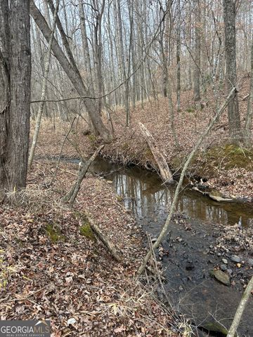 1425 Dowdy, Roopville, GA 30170