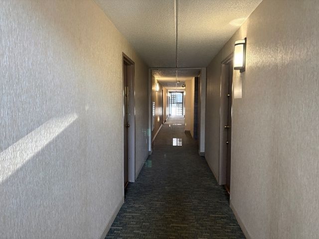 12 Ellery 306, Cambridge, MA 02138