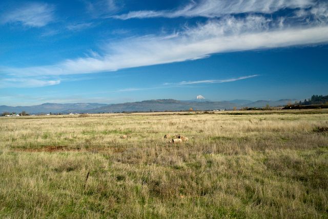 7314 Kershaw Road, Central Point, OR 97502