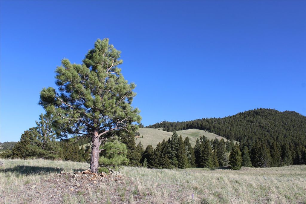 NHN Austin Road, Helena, MT 59601 photo 12