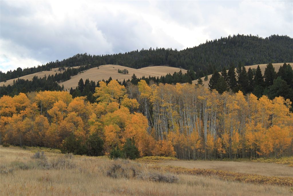 NHN Austin Road, Helena, MT 59601 photo 17