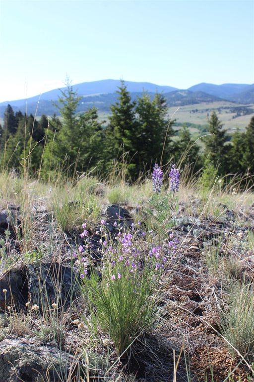 NHN Austin Road, Helena, MT 59601 photo 20