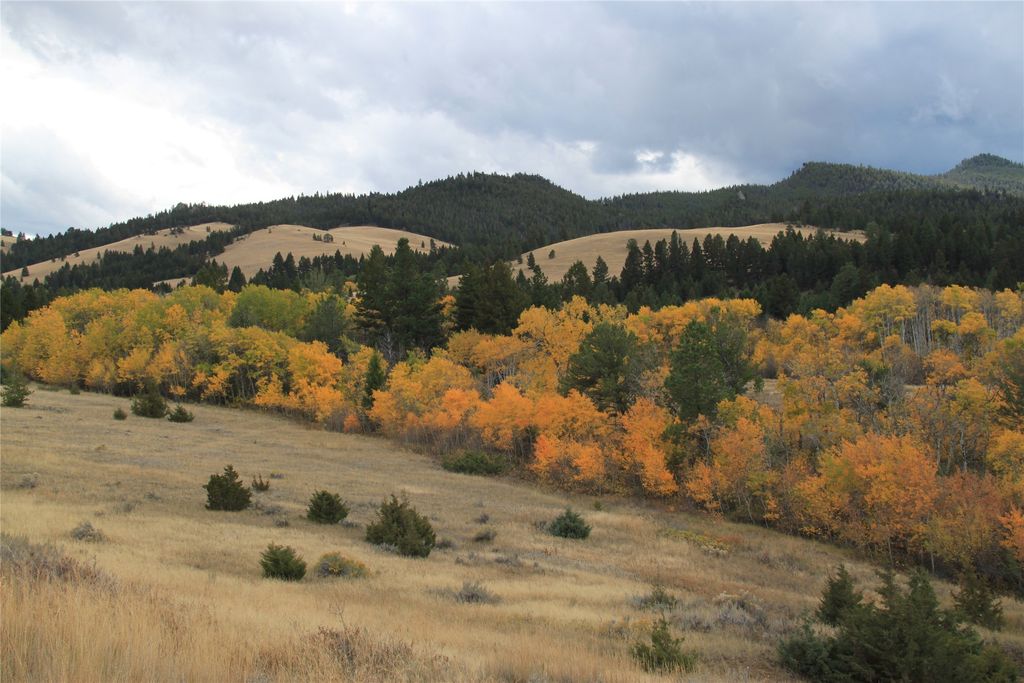 NHN Austin Road, Helena, MT 59601 photo 22