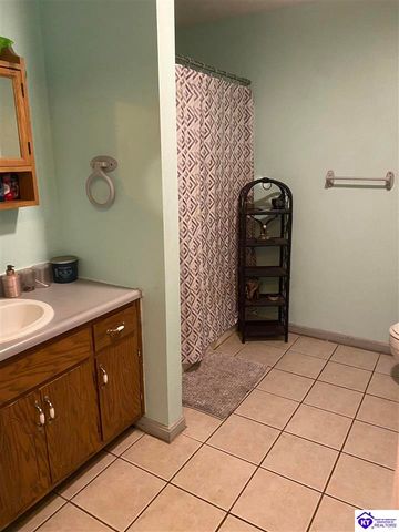 1088 Wonderland Cavern Road, Cecilia, KY 42724