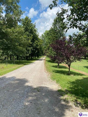 1088 Wonderland Cavern Road, Cecilia, KY 42724