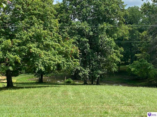 1088 Wonderland Cavern Road, Cecilia, KY 42724